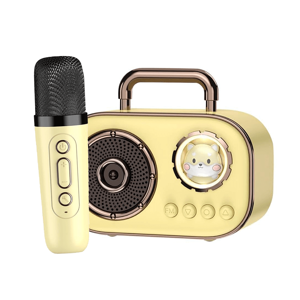 Portable Wireless Speaker with Microphone